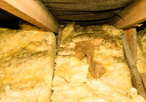 Is Attic Insulation Causing Mold or Moisture Issues in Miami Beach, FL?